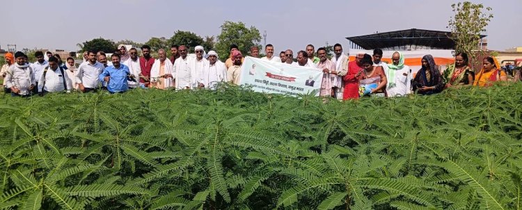 प्राकृतिक खेती से मिट्टी और सेहत दोनों सुरक्षित: विशेषज्ञ