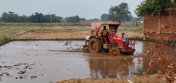 मानसून की दस्तक के साथ धान की नर्सरी की तैयारी में जुटे किसान