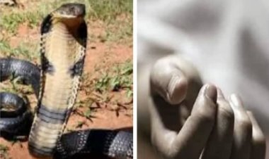 सर्पदंश से युवक की मौत, गांव में शोक की माहौल