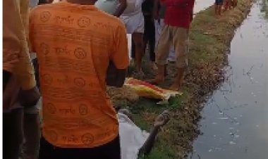 तालाब में नहाने उतरे किसान की डूबने से मौत, बन्नी गांव में पसरा मातम