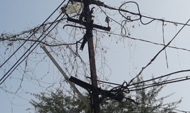 बार-बार बिजली कटौती पर भड़के प्रखंड प्रमुख मुन्ना सिंह, आंदोलन की दी चेतावनी