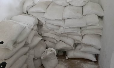 बरसात के बाद चौसा में बढ़ा संक्रमण का खतरा, सफाई और फॉगिंग व्यवस्था पर उठे सवाल