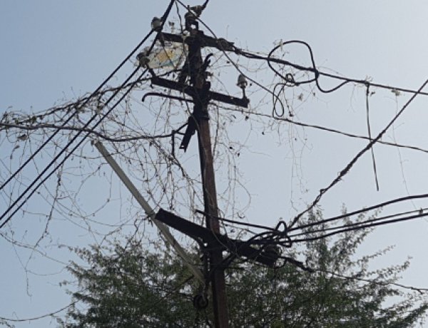बार-बार बिजली कटौती पर भड़के प्रखंड प्रमुख मुन्ना सिंह, आंदोलन की दी चेतावनी