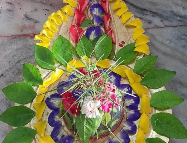 शिवभक्ति में डूबा शहर, हर-हर महादेव के जयघोष के साथ सावन का शुभारंभ: