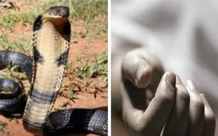सर्पदंश से युवक की मौत, गांव में शोक की माहौल