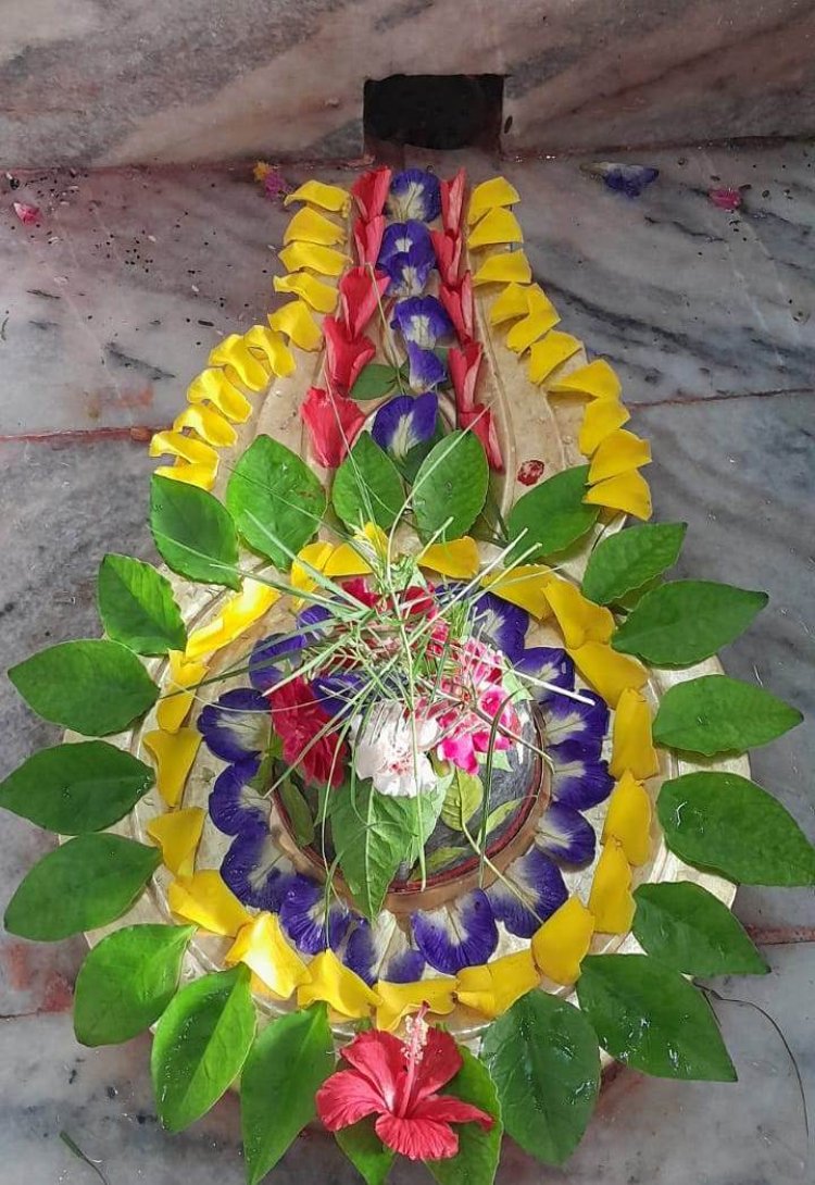 शिवभक्ति में डूबा शहर, हर-हर महादेव के जयघोष के साथ सावन का शुभारंभ: