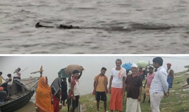 नैनीजोर के पास गंगा में दिखे ‘घड़ियाल’ ने बढ़ाई चिंता, घाटों पर सतर्कता जरूरी