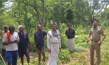 रात के अंधेरे में ट्रांसफॉर्मर उखाड़ ले गए चोर, तांबा निकाल खेत में फेंके पुर्जे