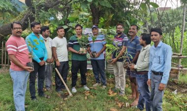 विश्व फोटोग्राफी दिवस पर कैमरों से निकला हरियाली का संदेश