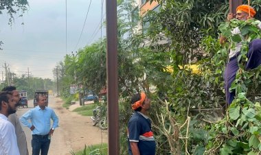 पेड़ों की टहनियों से फॉल्ट का खतरा टालने को 33 केवी लाइन का मेंटेनेंस