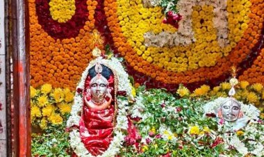 मां डुमरेजनी के दरबार में उमड़ा आस्था का सैलाब, देर शाम तक गुलजार रहा मेला