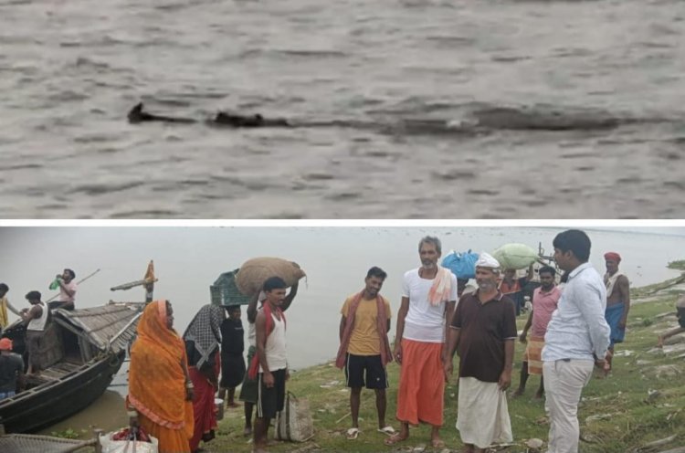 नैनीजोर के पास गंगा में दिखे ‘घड़ियाल’ ने बढ़ाई चिंता, घाटों पर सतर्कता जरूरी