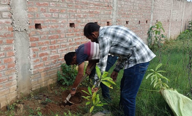 जन्मदिन पर पौधा, पर्यावरण बचाने का संकल्प