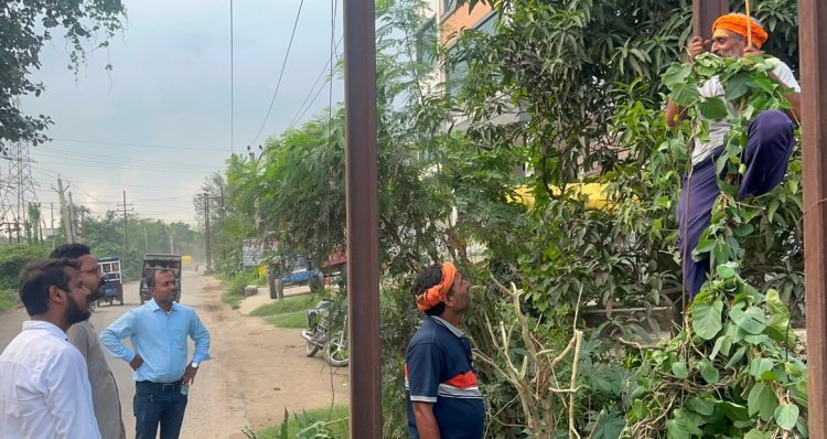 पेड़ों की टहनियों से फॉल्ट का खतरा टालने को 33 केवी लाइन का मेंटेनेंस