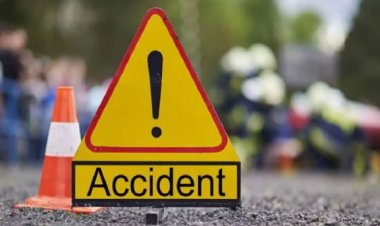 पास लेने की कोशिश में डीसीएम ट्रक से टकराई, चालक घायल