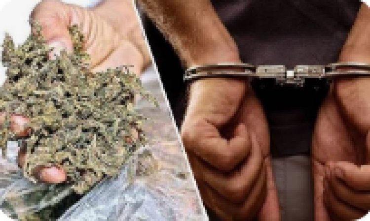 घर से चल रहा था गांजा का धंधा, पुलिस ने दबोचा तस्कर