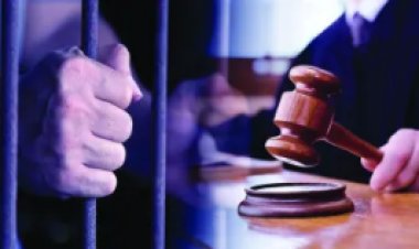 आर्म्स एक्ट में महिला समेत तीन को तीन-तीन साल की सजा