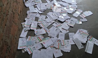 नचाप डाकघर की लापरवाही पर विभाग सख्त, पूरे दिन चली जांच