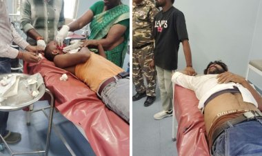 सड़क पर नीलगाय से टकराई बाइक, दो युवक घायल