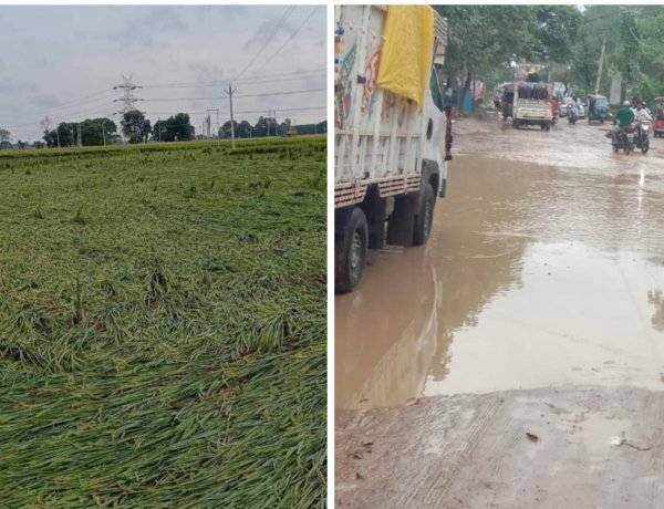 अर्नब का कहर: दो दिनों की बारिश ने बक्सर को किया बेहाल, किसानों की फसल बर्बाद
