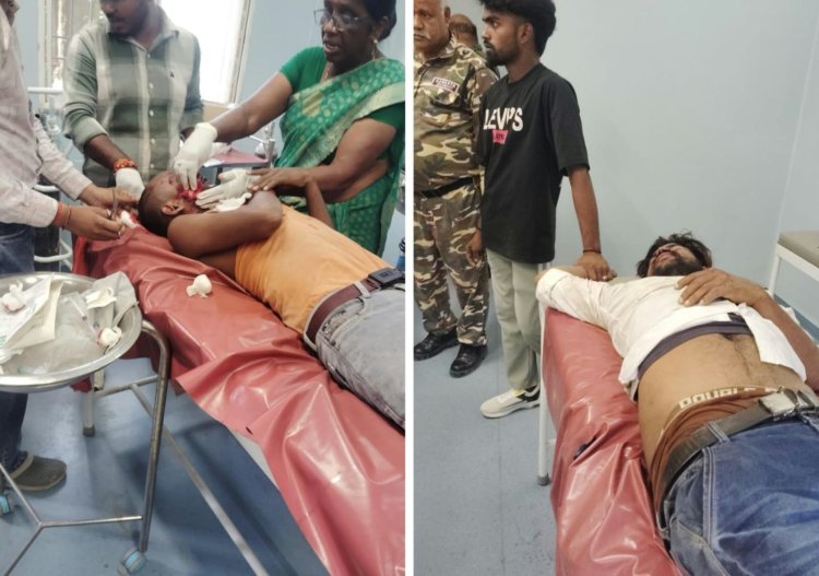 सड़क पर नीलगाय से टकराई बाइक, दो युवक घायल