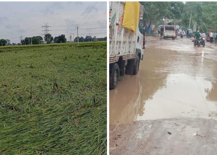 अर्नब का कहर: दो दिनों की बारिश ने बक्सर को किया बेहाल, किसानों की फसल बर्बाद